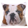 Decorative Bulldog Cushion